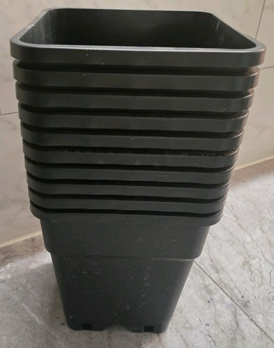 Blumentopf 11l viereckig - 10, x